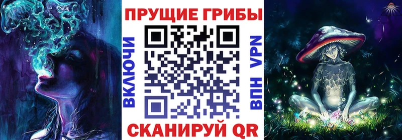 что такое   ссылка на мегу tor  Псилоцибиновые грибы мухоморы  Великий Новгород 
