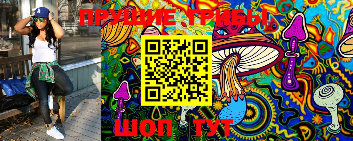 Псилоцибиновые грибы MAGIC MUSHROOMS Великий Новгород