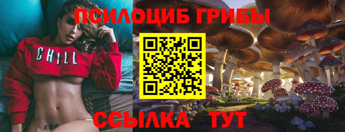 Галлюциногенные грибы ЛСД  Великий Новгород  Галлюциногенные грибы MAGIC MUSHROOMS 