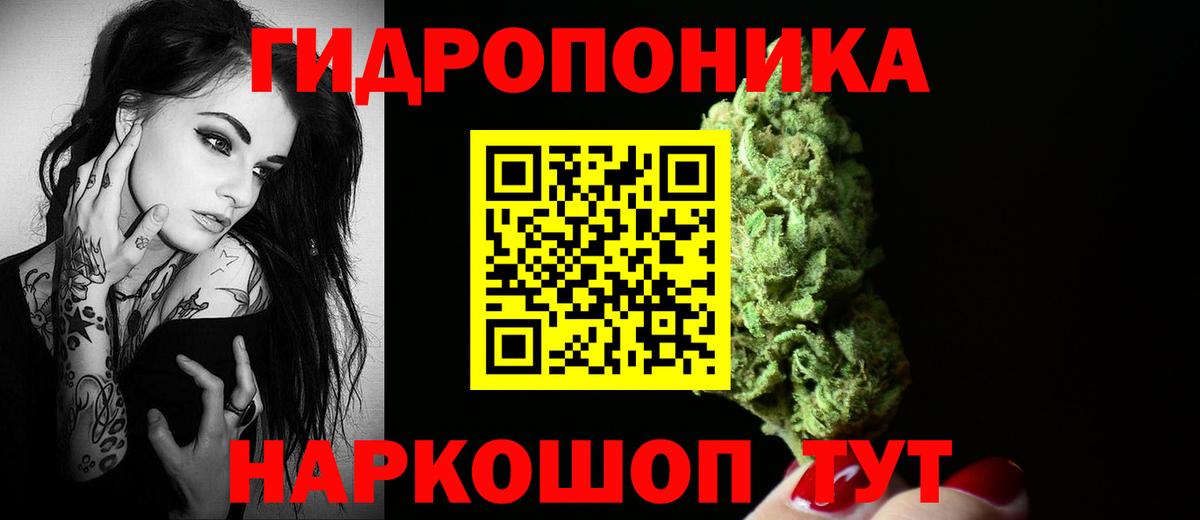 МАРИХУАНА LSD WEED  Каннабис сатива  МАРИХУАНА конопля  Великий Новгород 